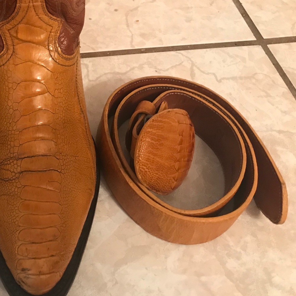 Exotic leather belt